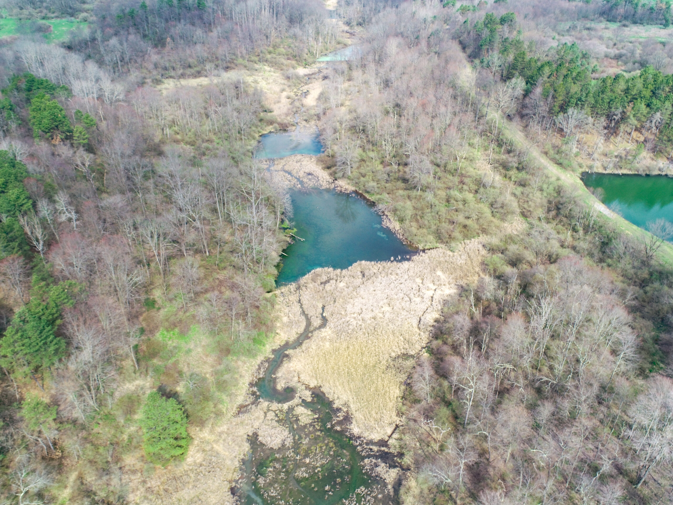 Aerial View of woodlands