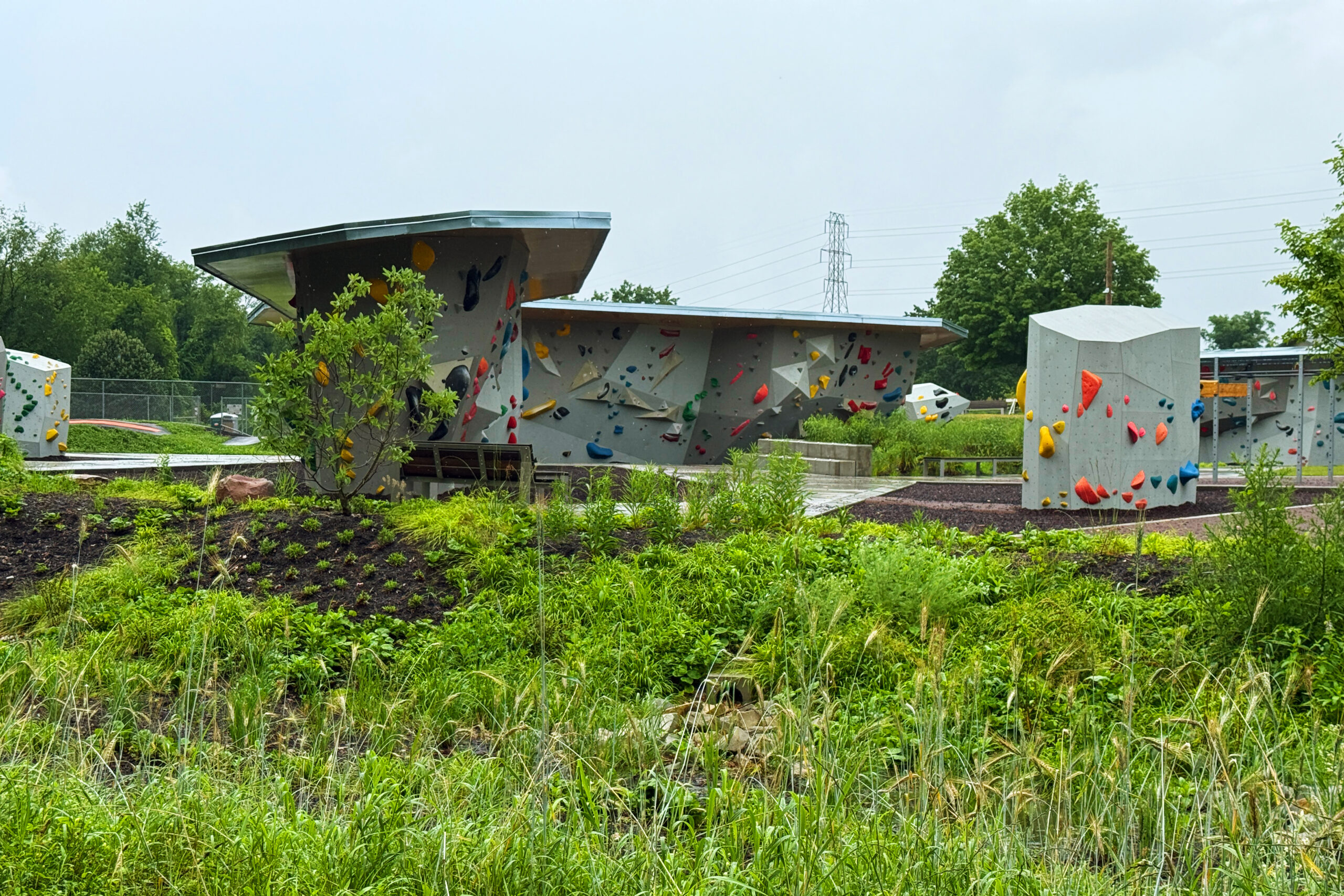 Boyce Park Rain Garden