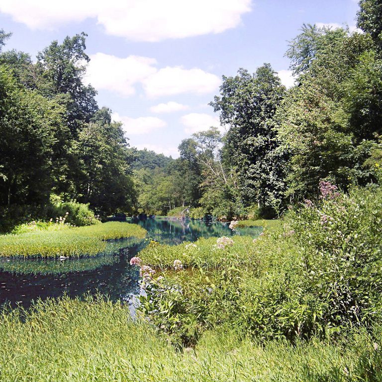 2049 SCC creek_web